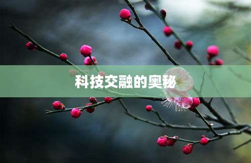 科技交融的奥秘