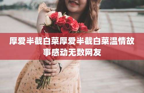厚爱半截白菜厚爱半截白菜温情故事感动无数网友