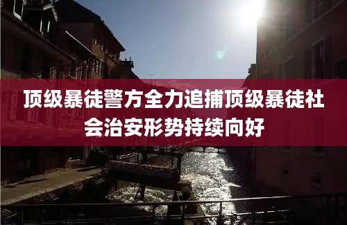 顶级暴徒警方全力追捕顶级暴徒社会治安形势持续向好