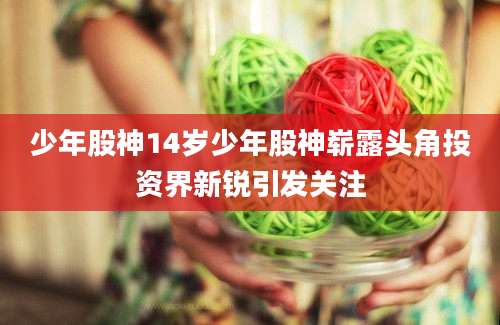 少年股神14岁少年股神崭露头角投资界新锐引发关注