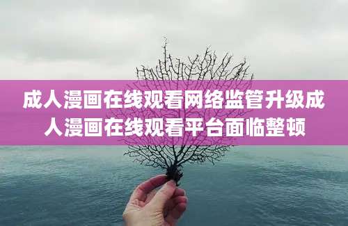 成人漫画在线观看网络监管升级成人漫画在线观看平台面临整顿