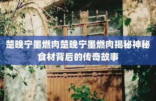 楚晚宁墨燃肉楚晚宁墨燃肉揭秘神秘食材背后的传奇故事