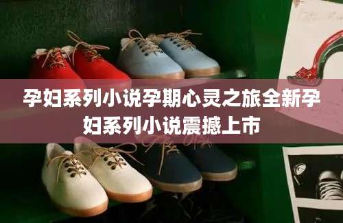 孕妇系列小说孕期心灵之旅全新孕妇系列小说震撼上市