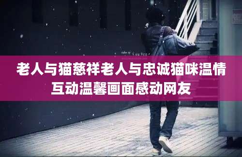 老人与猫慈祥老人与忠诚猫咪温情互动温馨画面感动网友