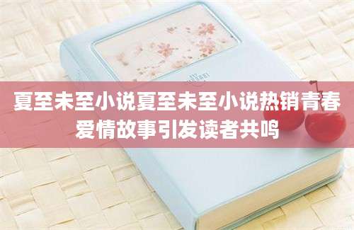 夏至未至小说夏至未至小说热销青春爱情故事引发读者共鸣