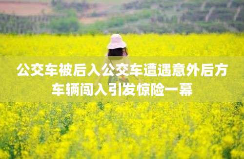 公交车被后入公交车遭遇意外后方车辆闯入引发惊险一幕