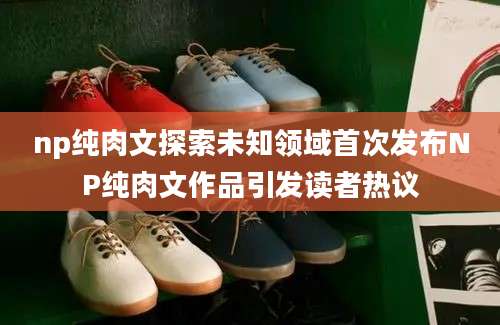np纯肉文探索未知领域首次发布NP纯肉文作品引发读者热议