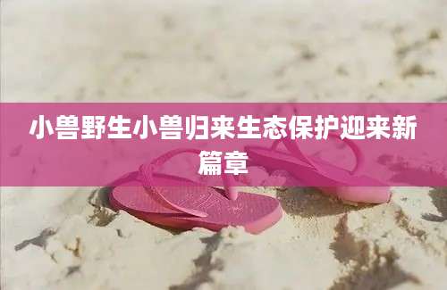 小兽野生小兽归来生态保护迎来新篇章