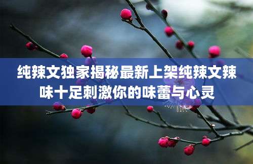 纯辣文独家揭秘最新上架纯辣文辣味十足刺激你的味蕾与心灵