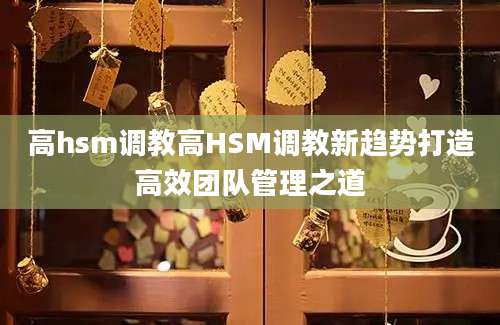 高hsm调教高HSM调教新趋势打造高效团队管理之道
