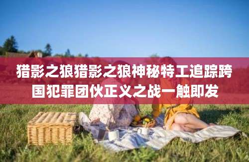 猎影之狼猎影之狼神秘特工追踪跨国犯罪团伙正义之战一触即发