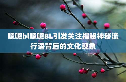 嗯嗯bl嗯嗯BL引发关注揭秘神秘流行语背后的文化现象
