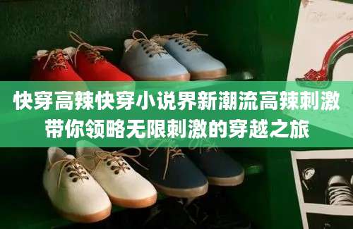 快穿高辣快穿小说界新潮流高辣刺激带你领略无限刺激的穿越之旅