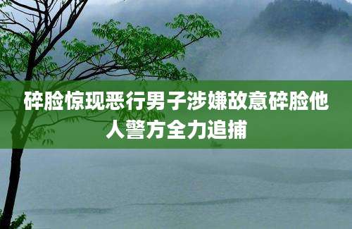 碎脸惊现恶行男子涉嫌故意碎脸他人警方全力追捕
