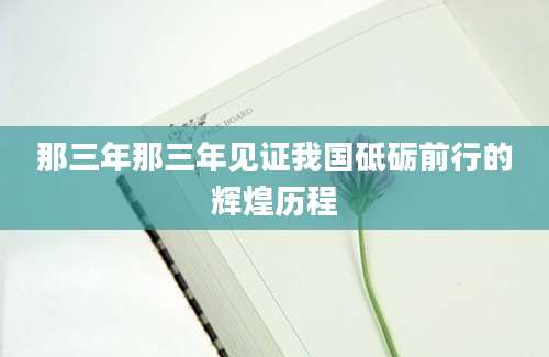 那三年那三年见证我国砥砺前行的辉煌历程