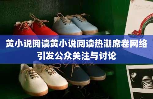 黄小说阅读黄小说阅读热潮席卷网络引发公众关注与讨论