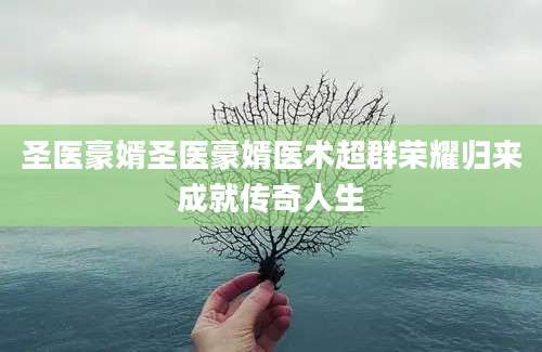 圣医豪婿圣医豪婿医术超群荣耀归来成就传奇人生