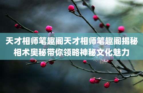 天才相师笔趣阁天才相师笔趣阁揭秘相术奥秘带你领略神秘文化魅力