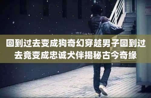回到过去变成狗奇幻穿越男子回到过去竟变成忠诚犬伴揭秘古今奇缘