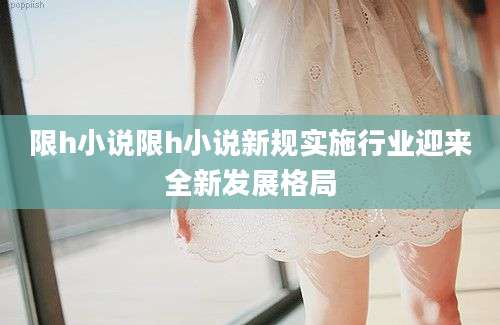 限h小说限h小说新规实施行业迎来全新发展格局
