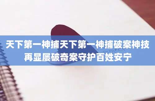 天下第一神捕天下第一神捕破案神技再显屡破奇案守护百姓安宁