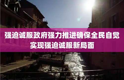 强迫诚服政府强力推进确保全民自觉实现强迫诚服新局面