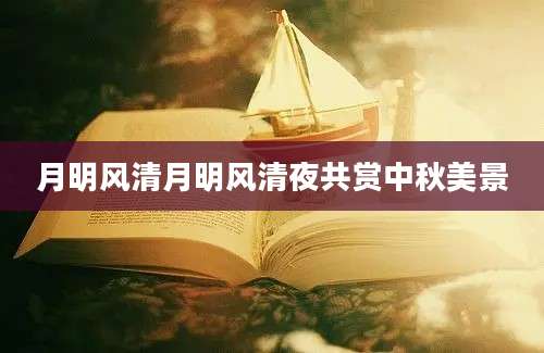 月明风清月明风清夜共赏中秋美景