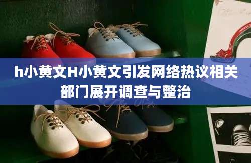 h小黄文H小黄文引发网络热议相关部门展开调查与整治