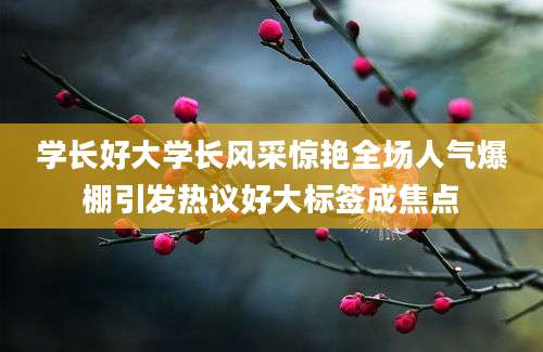 学长好大学长风采惊艳全场人气爆棚引发热议好大标签成焦点