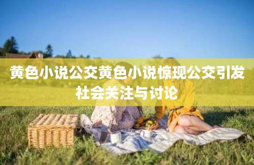 黄色小说公交黄色小说惊现公交引发社会关注与讨论