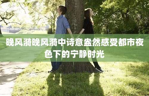 晚风漪晚风漪中诗意盎然感受都市夜色下的宁静时光