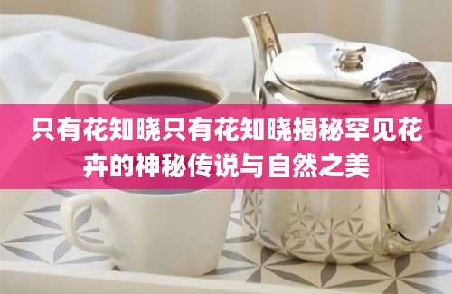 只有花知晓只有花知晓揭秘罕见花卉的神秘传说与自然之美