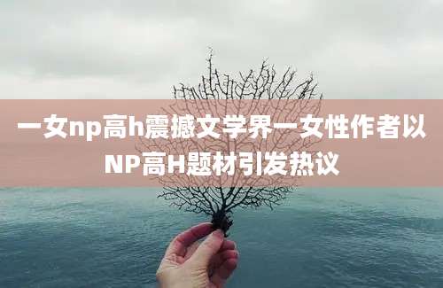 一女np高h震撼文学界一女性作者以NP高H题材引发热议