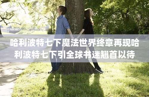 哈利波特七下魔法世界终章再现哈利波特七下引全球书迷翘首以待