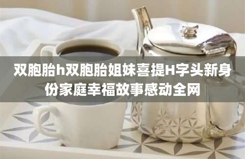 双胞胎h双胞胎姐妹喜提H字头新身份家庭幸福故事感动全网