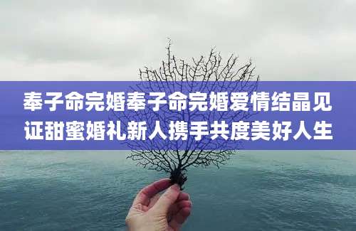 奉子命完婚奉子命完婚爱情结晶见证甜蜜婚礼新人携手共度美好人生