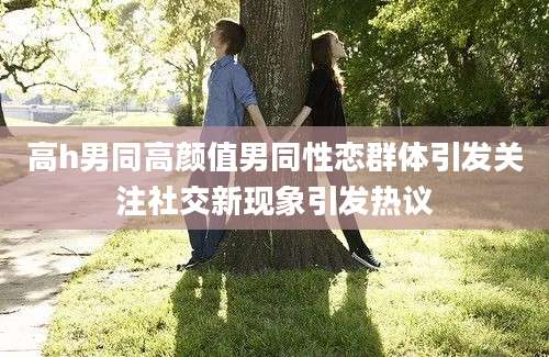 高h男同高颜值男同性恋群体引发关注社交新现象引发热议