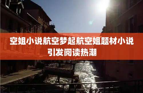 空姐小说航空梦起航空姐题材小说引发阅读热潮