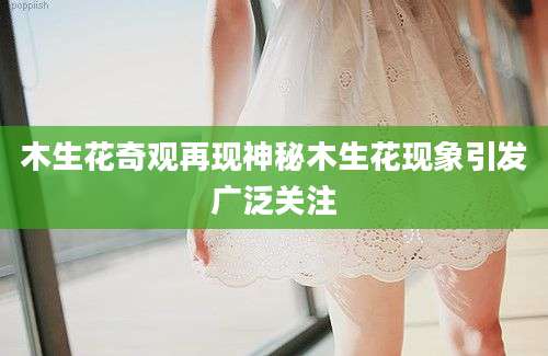 木生花奇观再现神秘木生花现象引发广泛关注