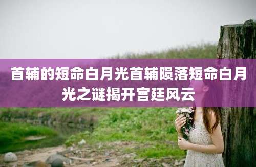 首辅的短命白月光首辅陨落短命白月光之谜揭开宫廷风云