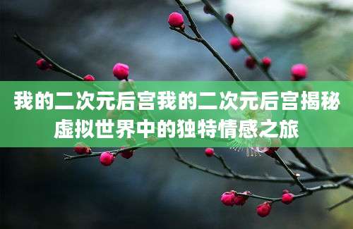 我的二次元后宫我的二次元后宫揭秘虚拟世界中的独特情感之旅