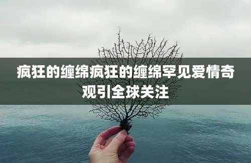 疯狂的缠绵疯狂的缠绵罕见爱情奇观引全球关注