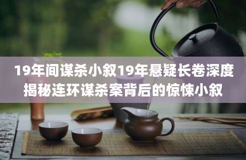 19年间谋杀小叙19年悬疑长卷深度揭秘连环谋杀案背后的惊悚小叙