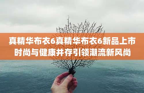 真精华布衣6真精华布衣6新品上市时尚与健康并存引领潮流新风尚
