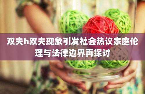 双夫h双夫现象引发社会热议家庭伦理与法律边界再探讨