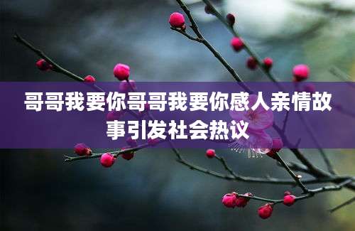 哥哥我要你哥哥我要你感人亲情故事引发社会热议