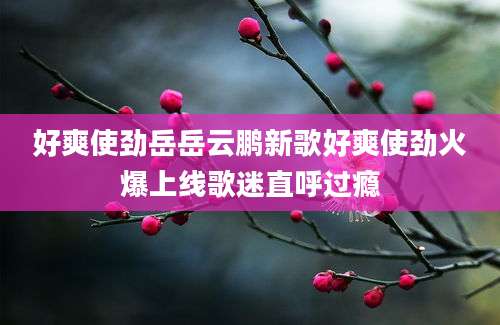 好爽使劲岳岳云鹏新歌好爽使劲火爆上线歌迷直呼过瘾