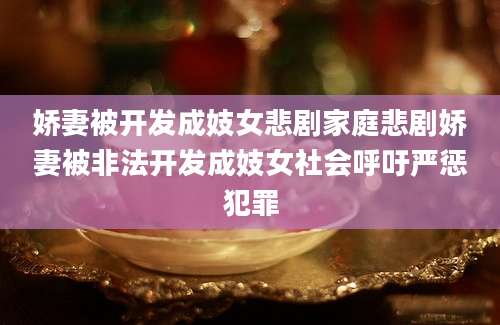 娇妻被开发成妓女悲剧家庭悲剧娇妻被非法开发成妓女社会呼吁严惩犯罪