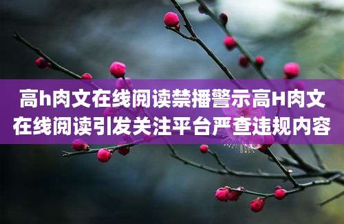 高h肉文在线阅读禁播警示高H肉文在线阅读引发关注平台严查违规内容