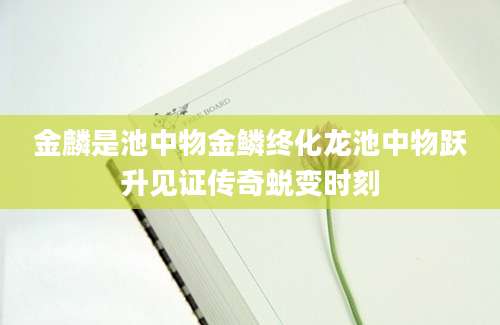 金麟是池中物金鳞终化龙池中物跃升见证传奇蜕变时刻
